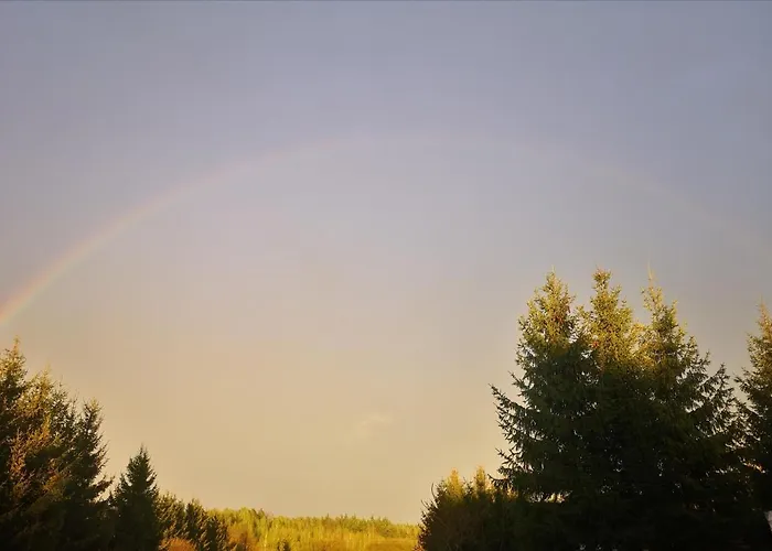 Domki Zielony Winiec - Mazury