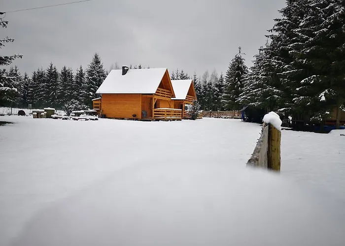 Domki Zielony Winiec - Mazury